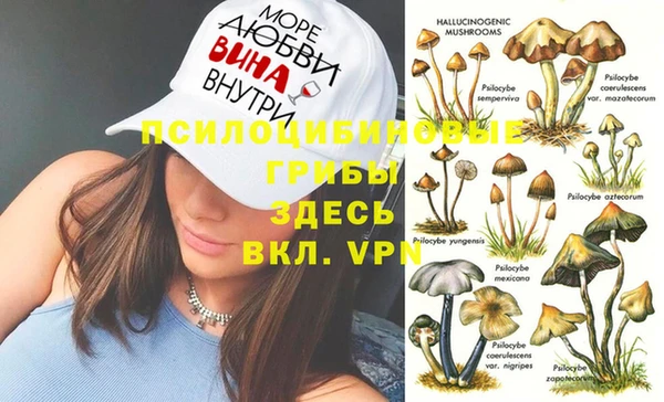 ALPHA PVP Алзамай