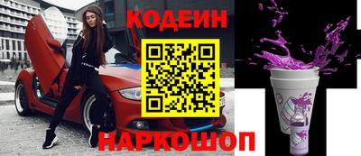 мдпв Камышлов