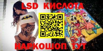 мдпв Камышлов