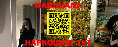 мдпв Камышлов