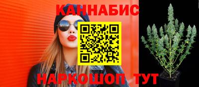 мдпв Камышлов