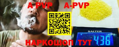 мдпв Камышлов