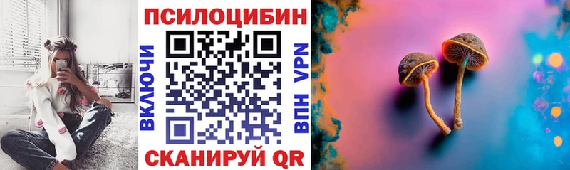 Галлюциногенные грибы MAGIC MUSHROOMS наркотики OMG зеркало Кыштым