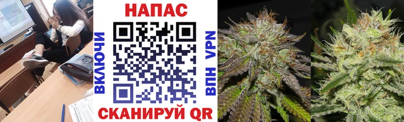 что такое   Кыштым  Шишки марихуана VHQ 